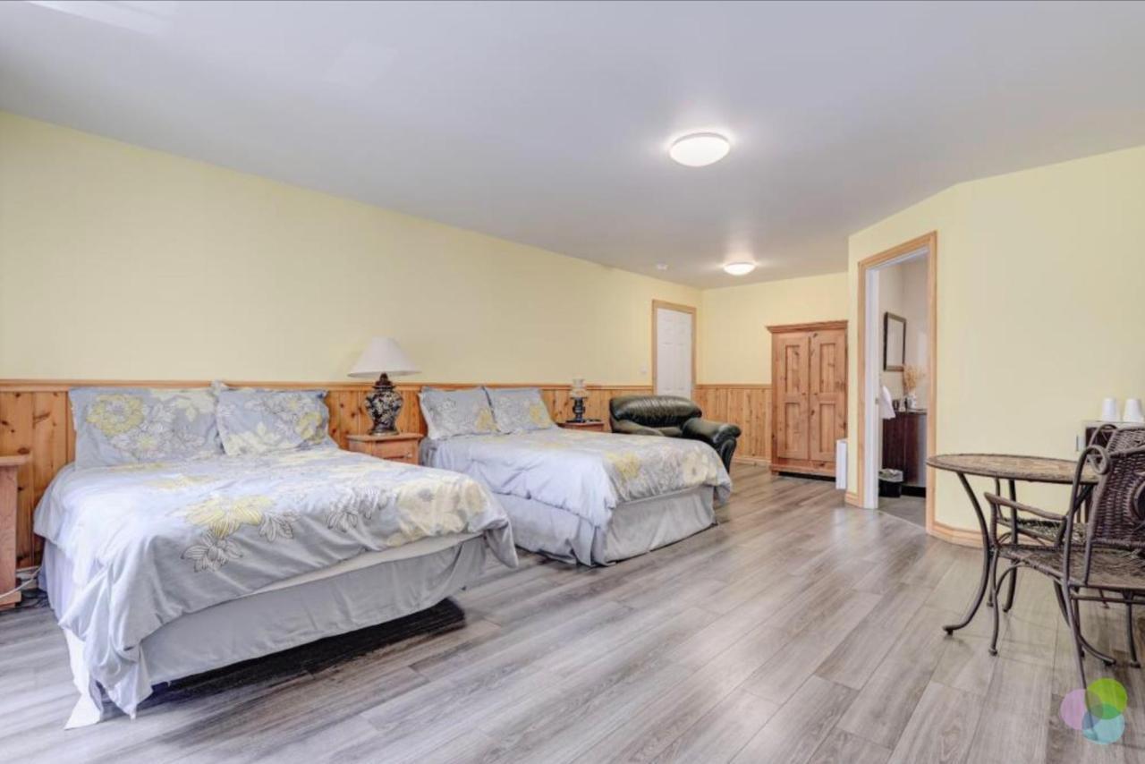 Hebergement Chez Le D Motel Saint Zenon Екстериор снимка